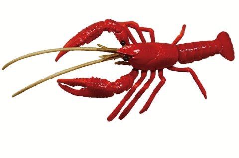 みずべのなかま あたらしいなかま編 アメリカザリガニ 新品未使用 送料