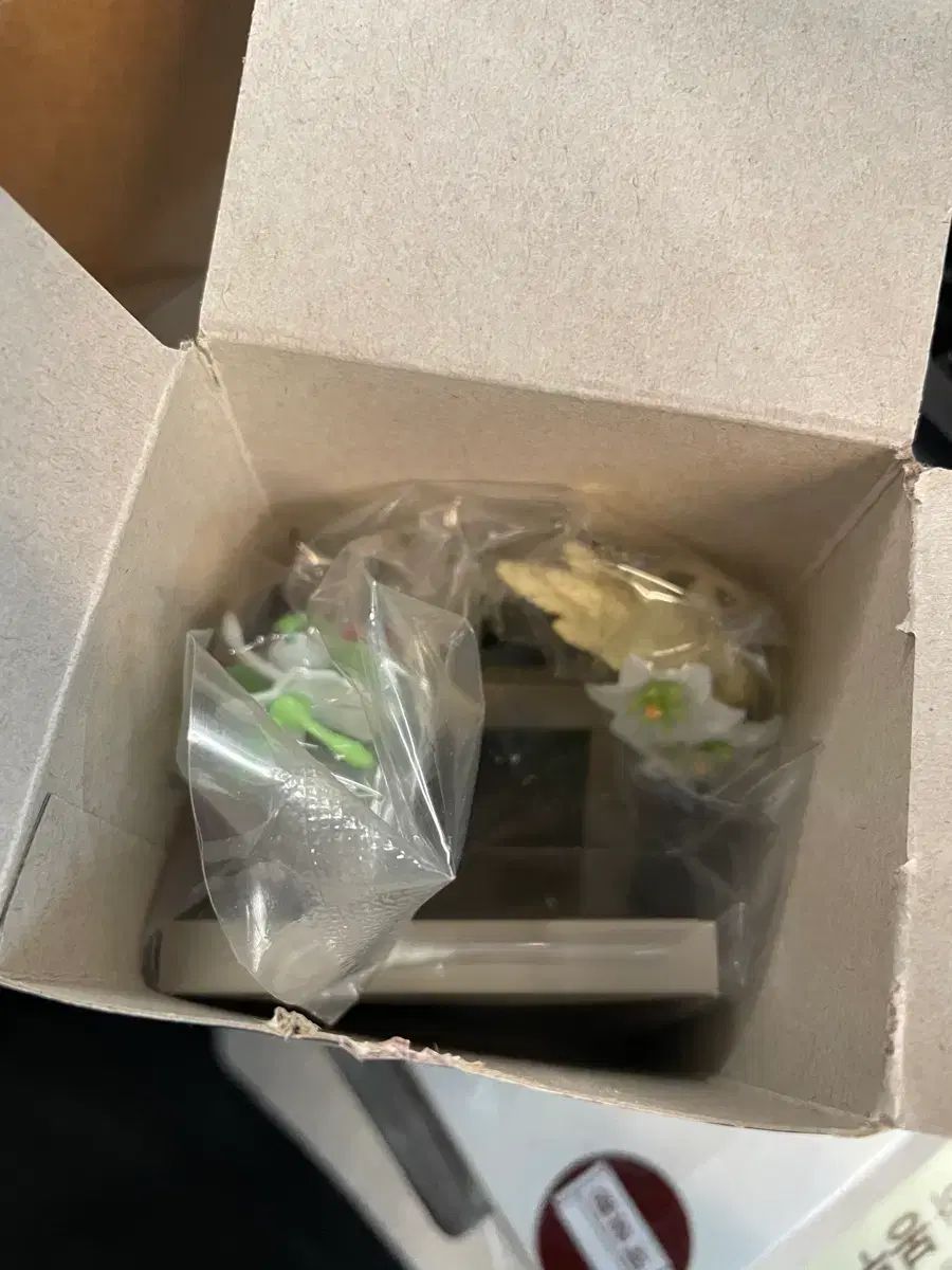 (未開封)ポケットモンスター リース コレクション 킬리아