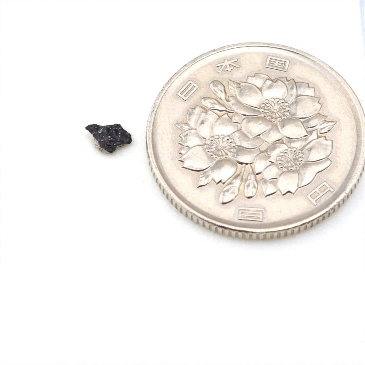 NWA10720 隕石 0.02g ナクライト 火星隕石 火星の石 火星起源 原石