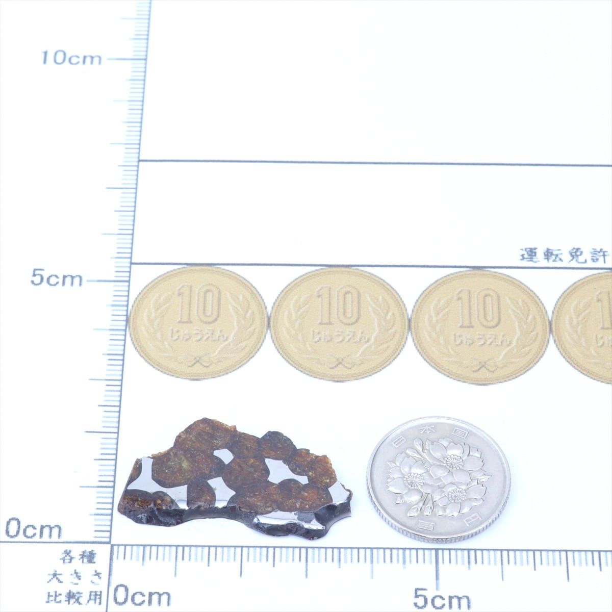 ボルジャ 隕石 3.9g パラサイト 石鉄隕石 標本 Borzya M2603 - メルカリ