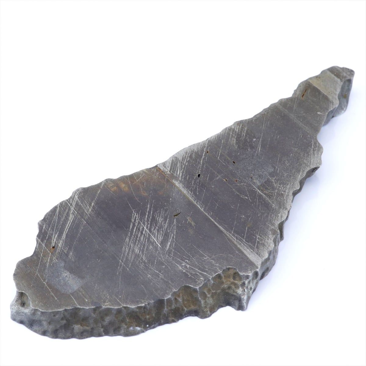 チンガー 隕石 79.9g チンガ アタキサイト 鉄隕石 標本 Chinga M2601