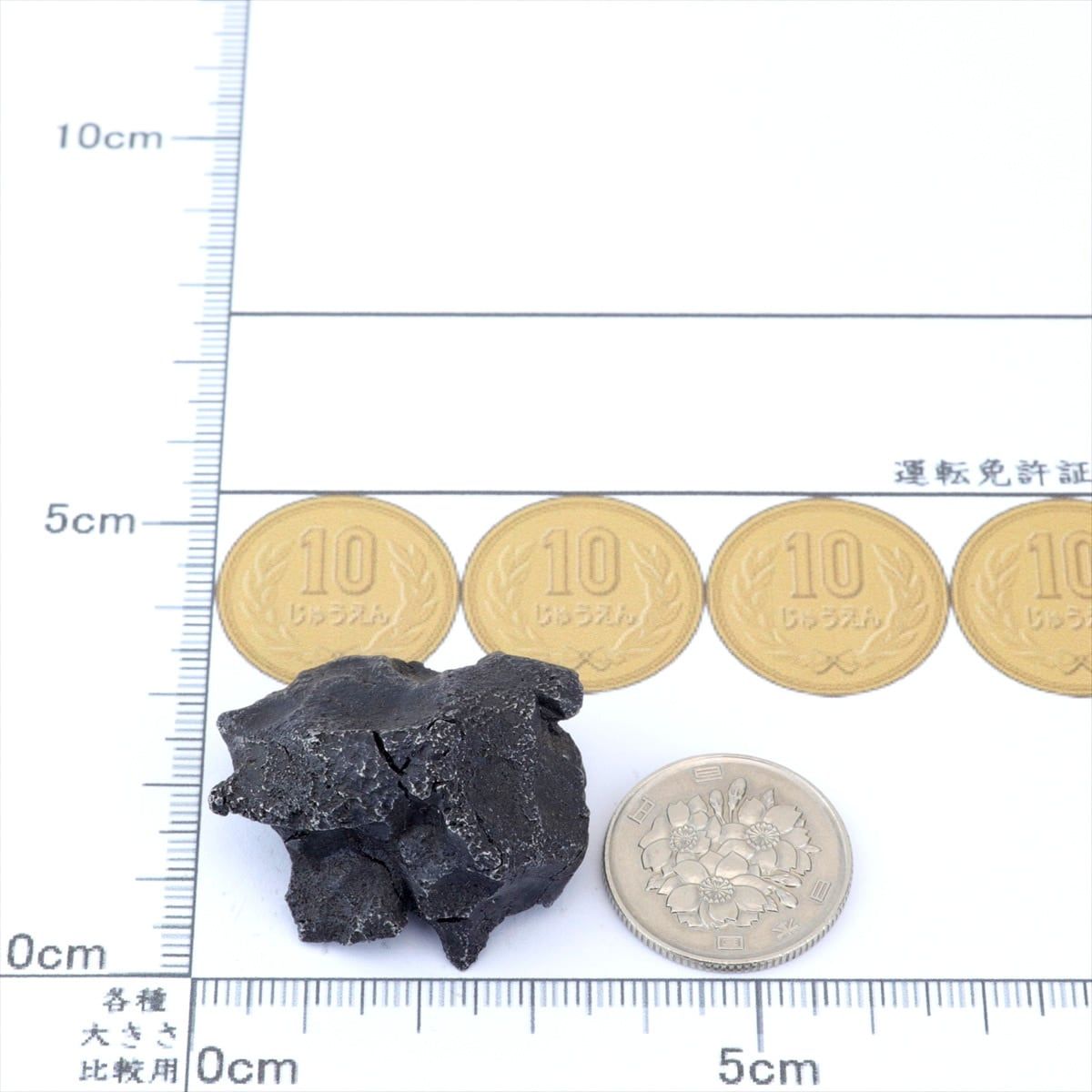 シホテアリン 隕石 49.0g シホテアリニ オクタヘドライト 鉄隕石 原石