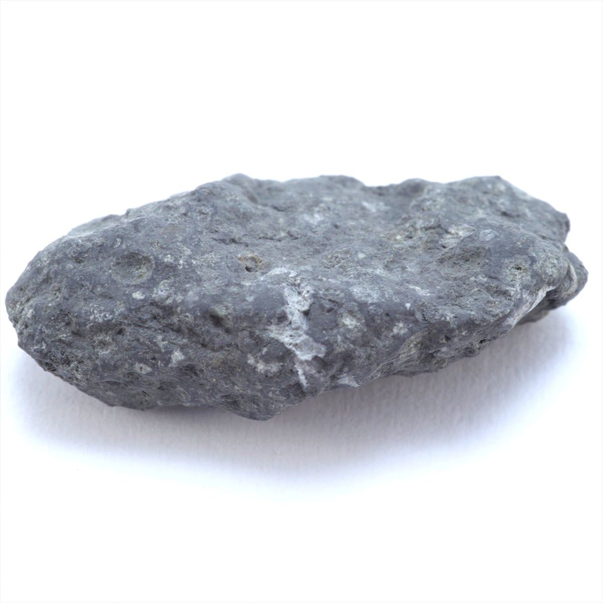 ✨希少！ アエンデ隕石標本 希少！ アエンデ隕石標本 過去販売－アエンデ隕石（Allende）｜化石