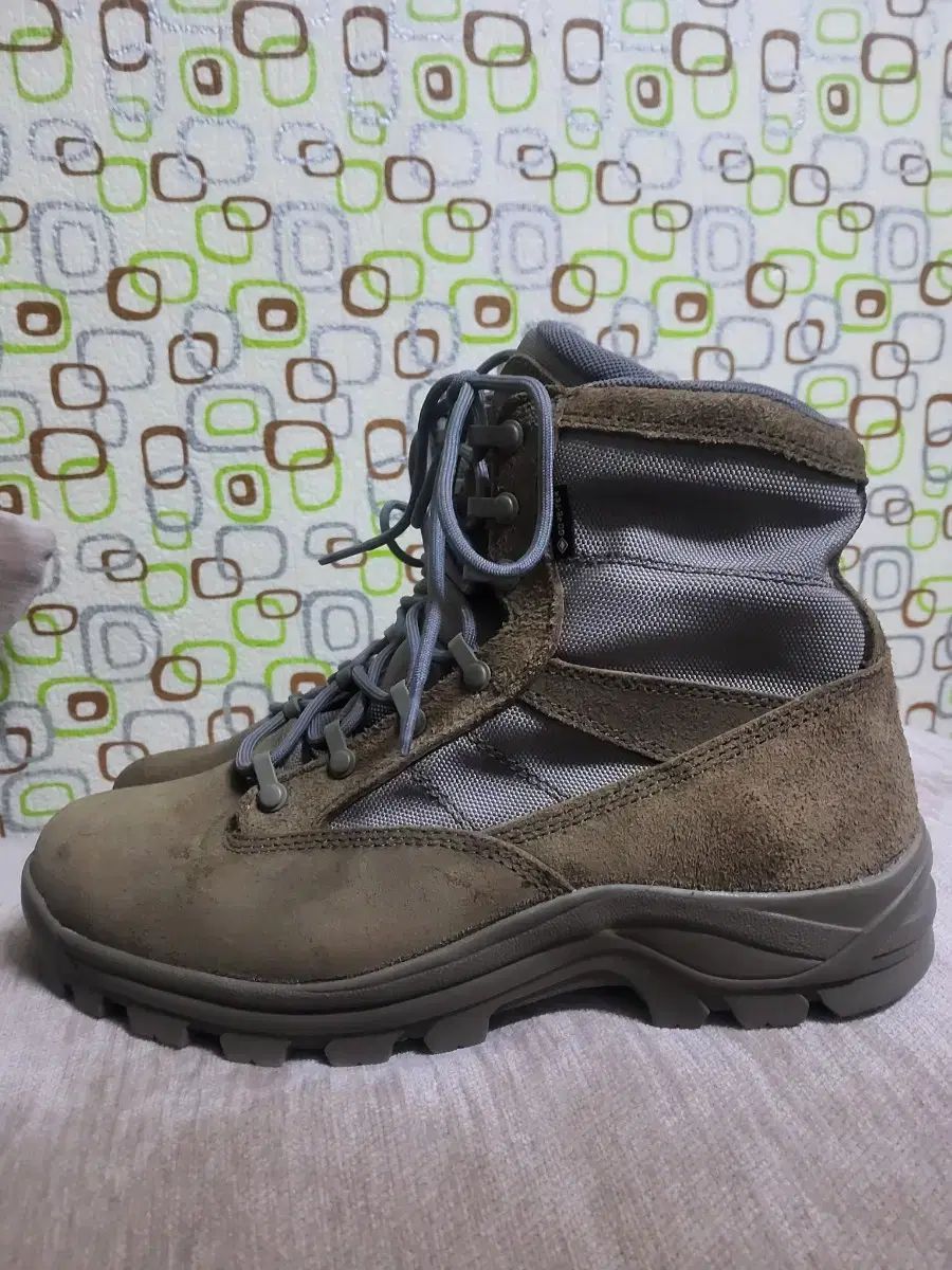 トレクスタ スピーディ