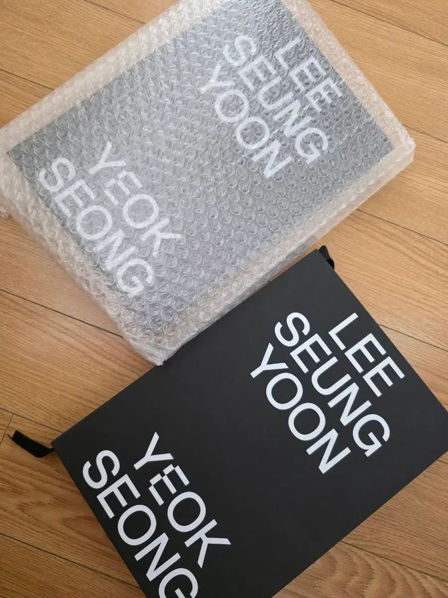 歌手イ ユン アートブック MD