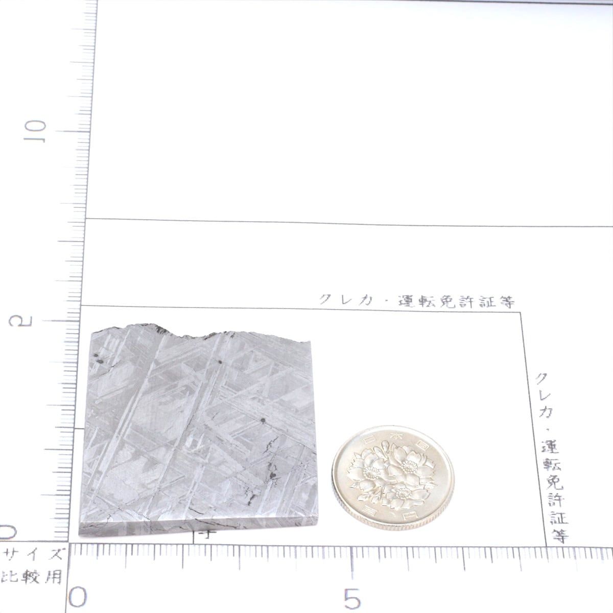 ムオニオナルスタ 隕石 62.2g オクタへドライト 鉄隕石 標本