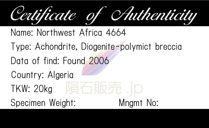 ✨レア隕石！EL3タイプ NWA 2828 隕石　標本 Amazon | SCIENCE 実物隕石標本「石質隕石 NWA869（North West Africa