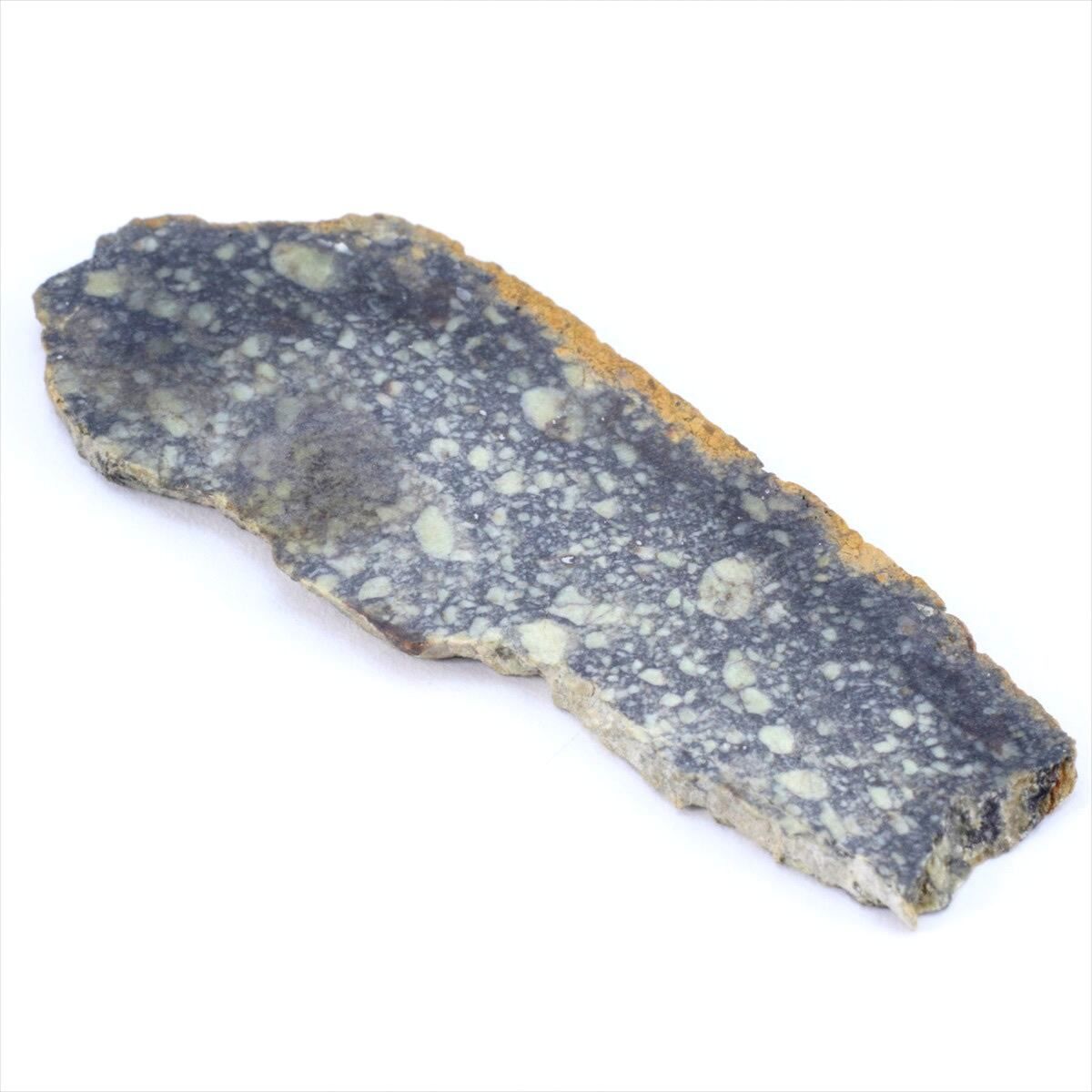 ✨レア隕石！EL3タイプ NWA 2828 隕石　標本 Amazon | SCIENCE 実物隕石標本「石質隕石 NWA869（North West Africa