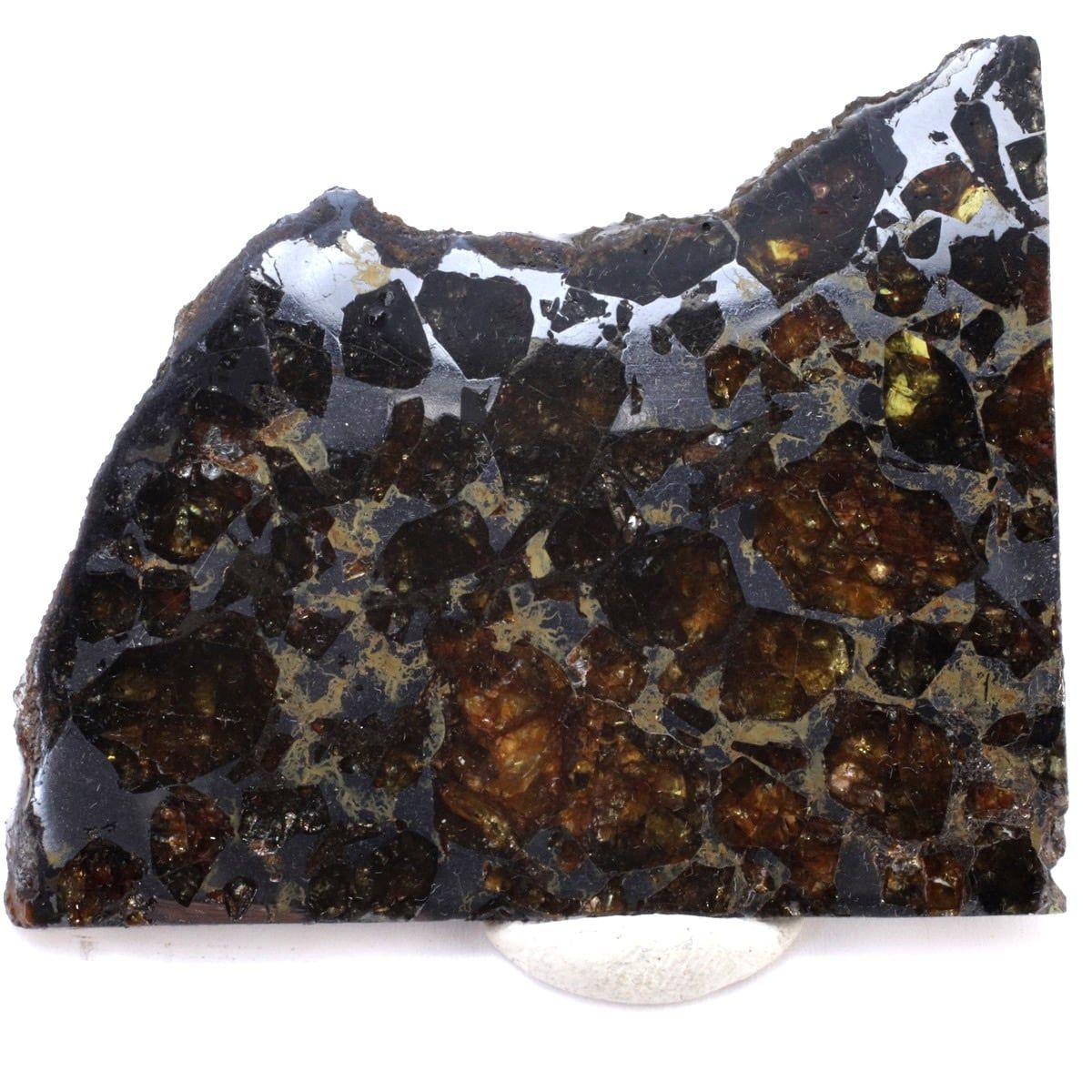 ブラヒン 隕石 37.9g パラサイト 石鉄隕石 標本 Brahin M2502 - メルカリ