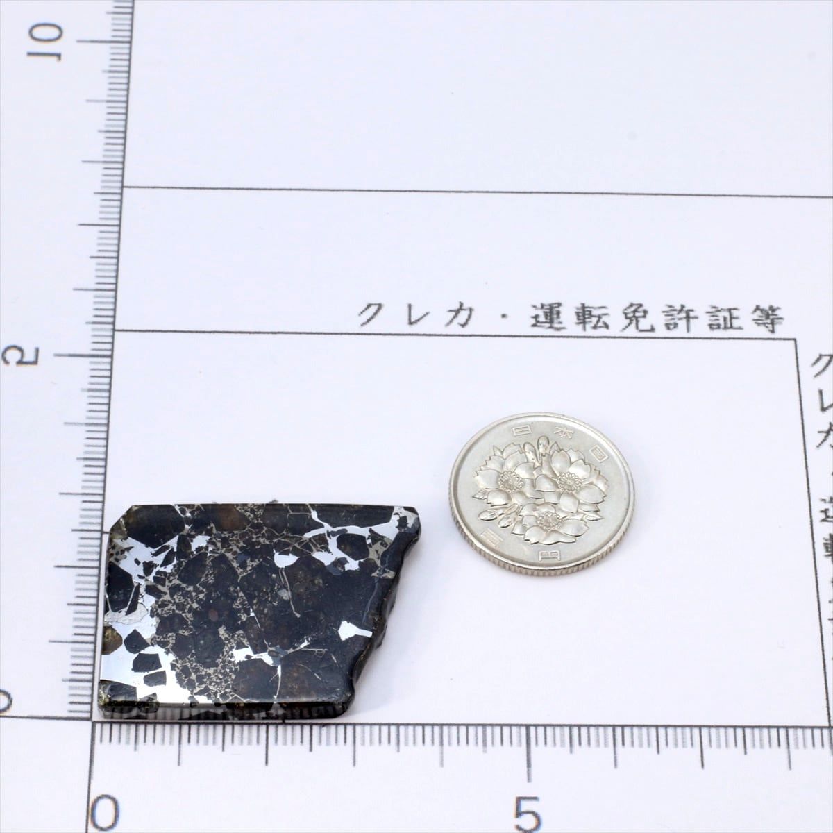 ブラヒン 隕石 14.8g パラサイト 石鉄隕石 標本 Brahin M2501 - メルカリ