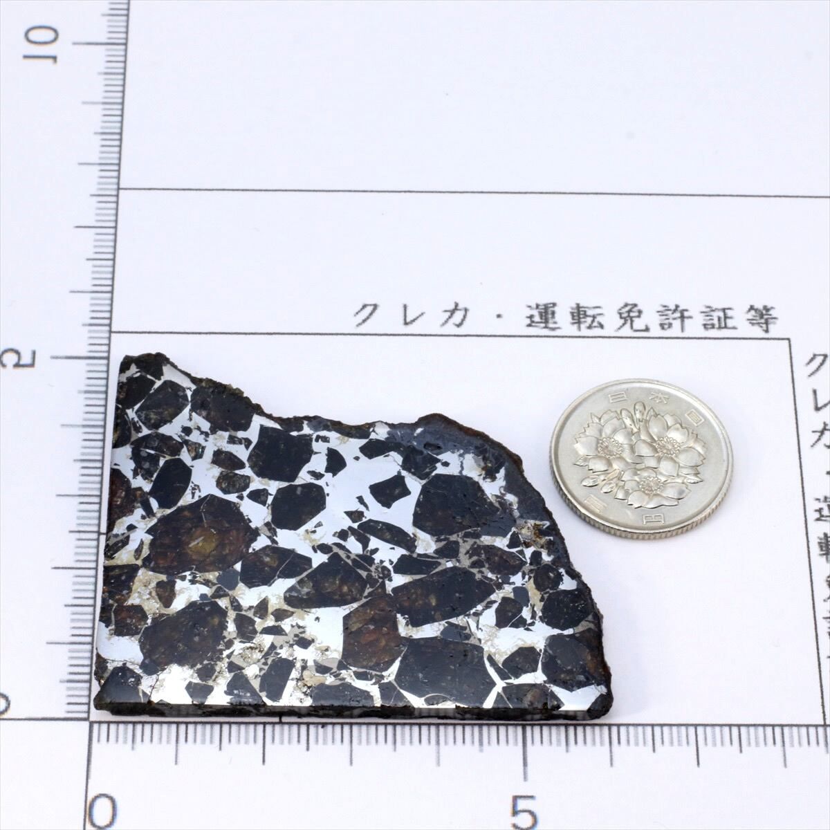 ブラヒン 隕石 37.9g パラサイト 石鉄隕石 標本 Brahin M2502 - メルカリ