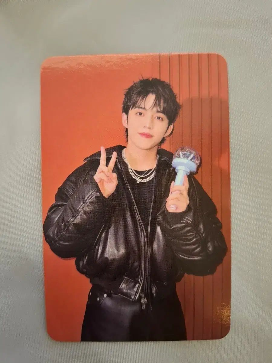 SEVENTEEN エスクプス(S.COUPS・スンチョル) ミンギュ(MINGYU) CxM