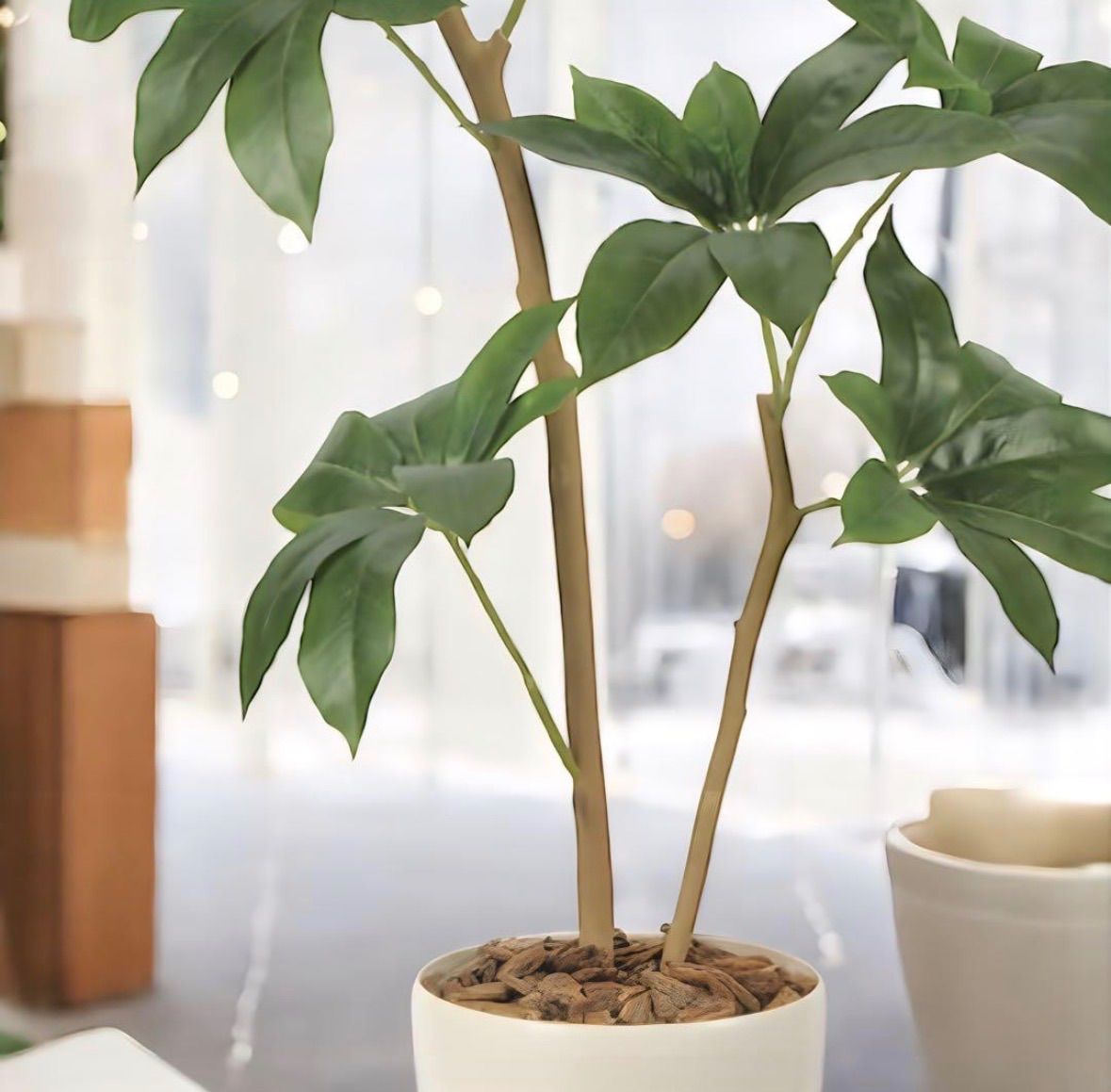 光触媒 人工観葉植物 ウォールグリーン フェイクグリーン ツピタンサス