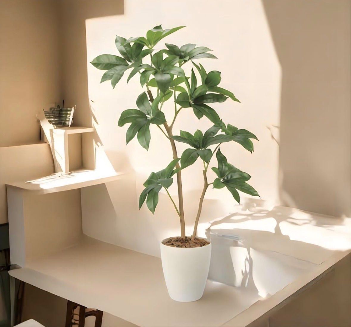 光触媒　人工観葉植物　ウォールグリーン　フェイクグリーン　ツピタンサス1.2 光触媒 人工観葉植物 ウォールグリーン フェイクグリーン ツピタンサス