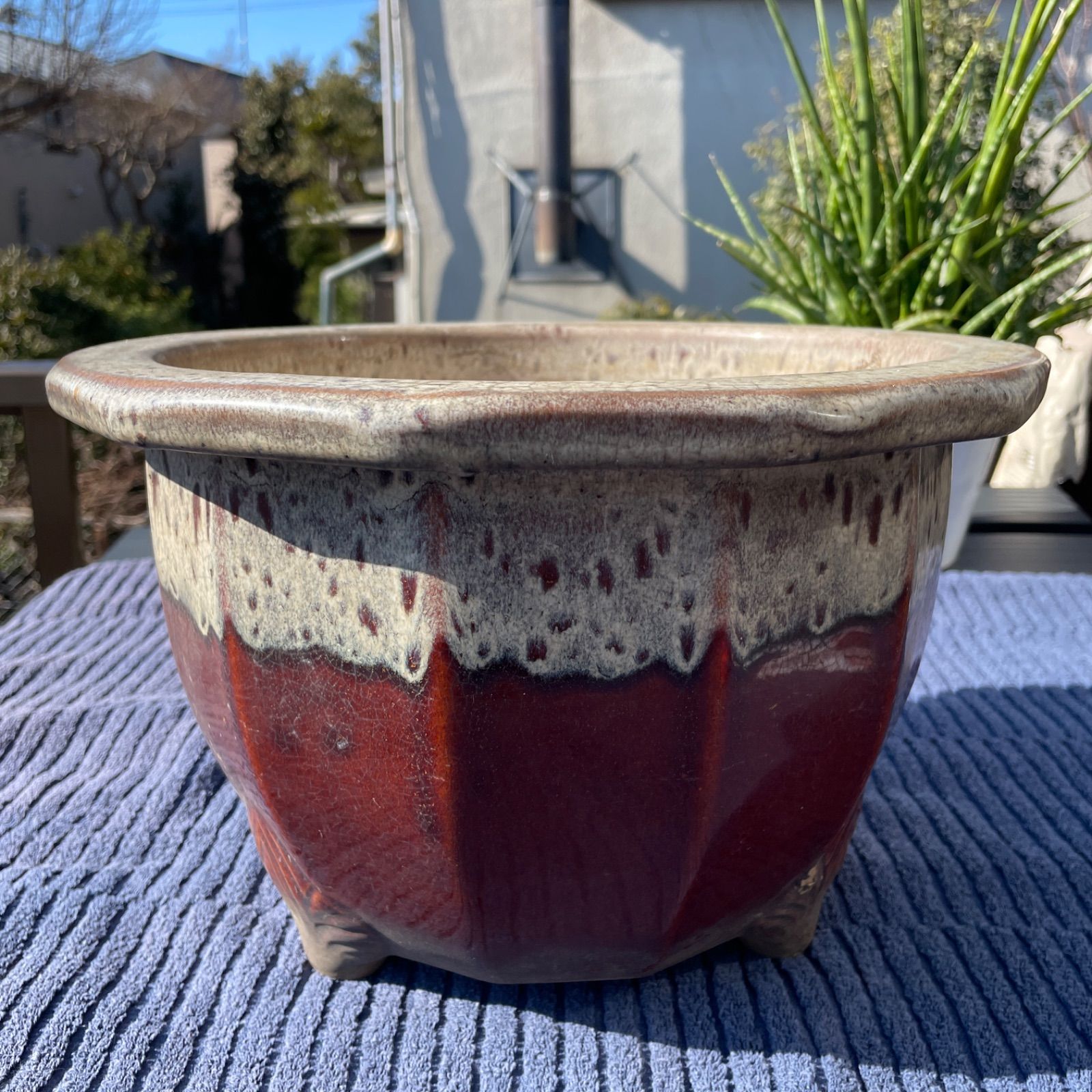 越前文山 盆栽鉢 30×20 - メルカリ