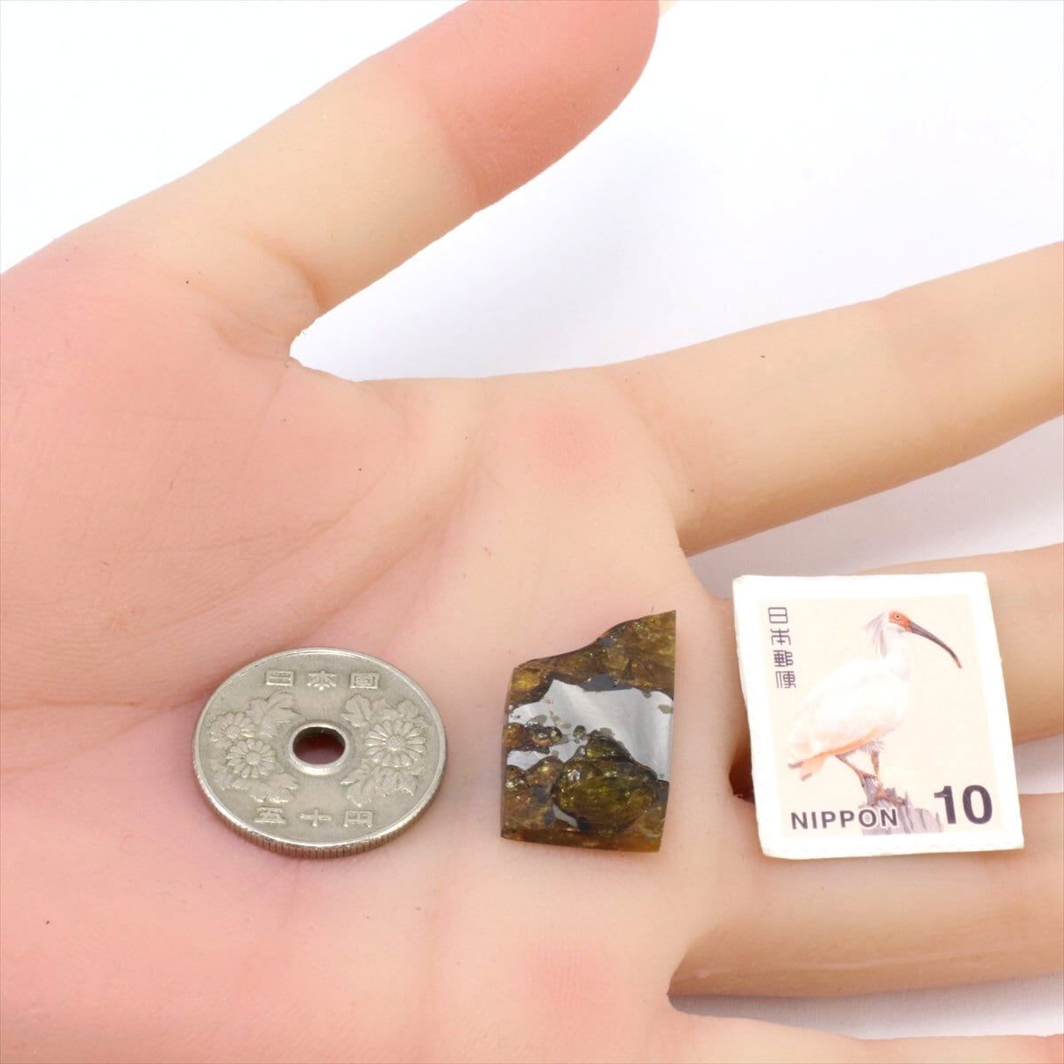 イミラック 隕石 3.7g パラサイト 石鉄隕石 標本 Imilac M2417 - メルカリ