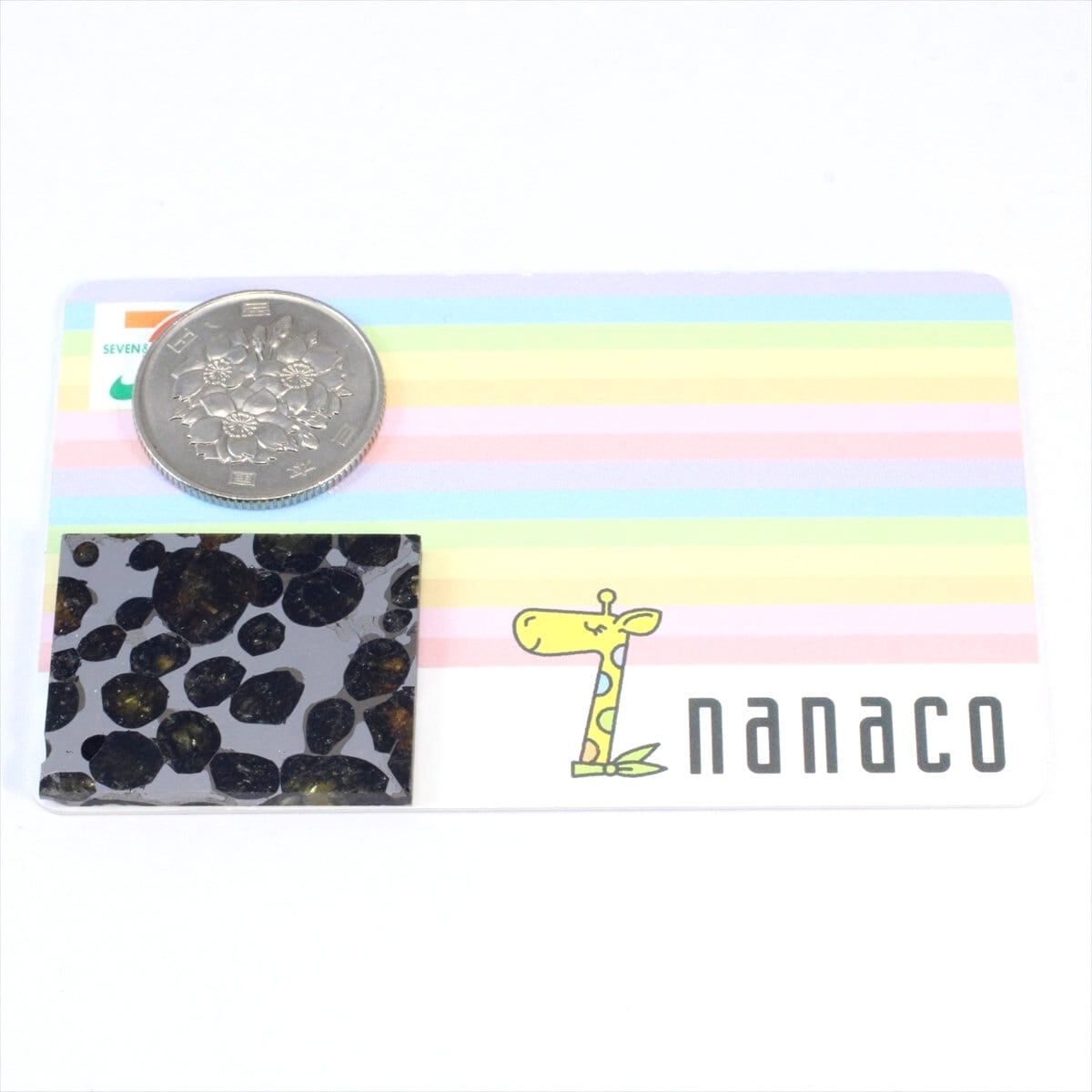 セリコ 隕石 9.5g パラサイト 石鉄隕石 標本 Sericho M2306 - メルカリ