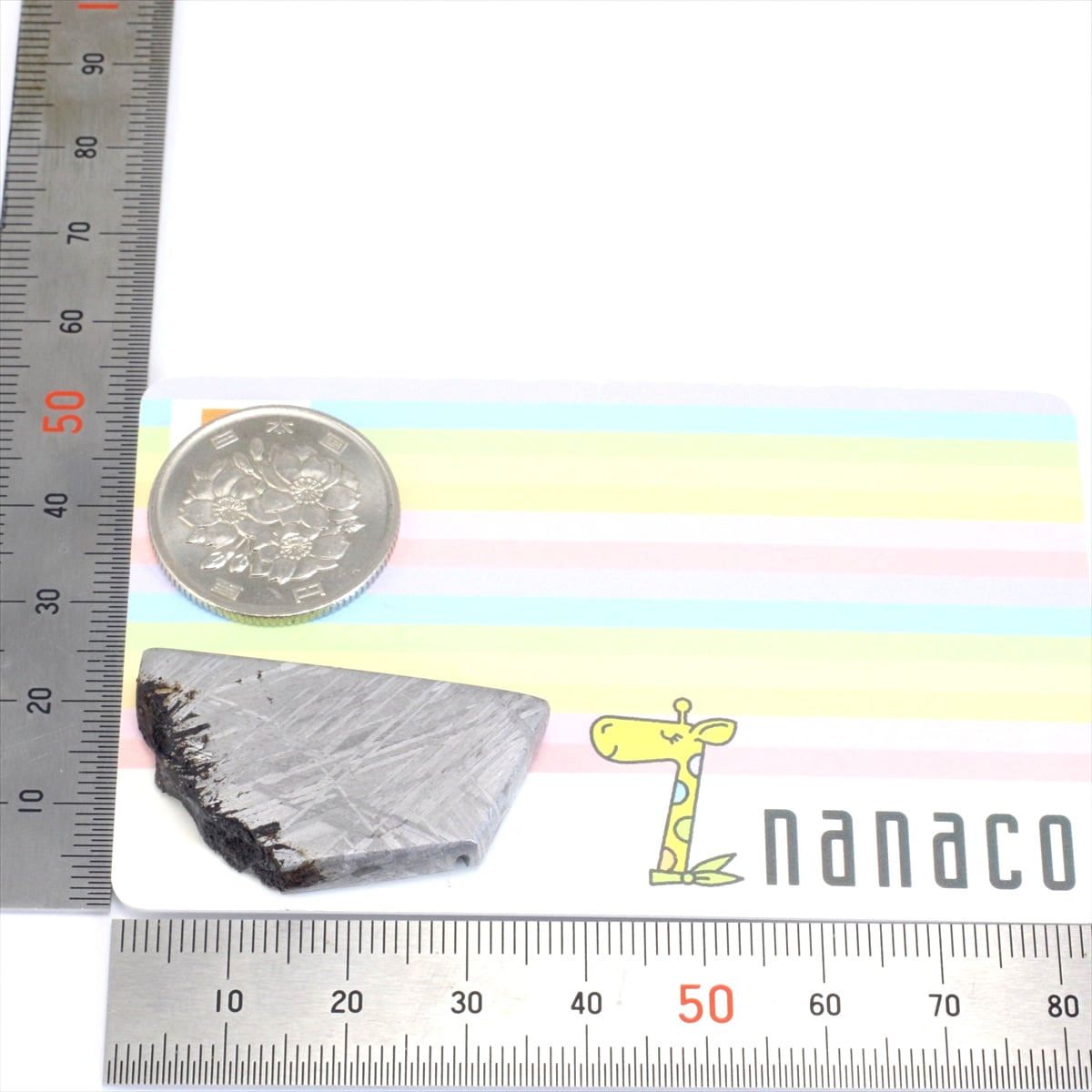 ムオニオナルスタ 隕石 13.9g オクタへドライト 鉄隕石 標本