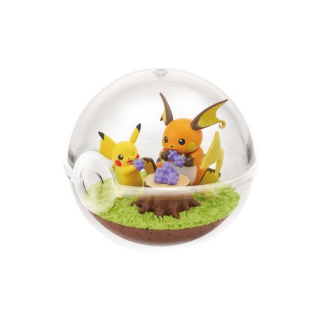 ポケモン ポケットモンスター テラリウムコレクション14 6個入りBOX