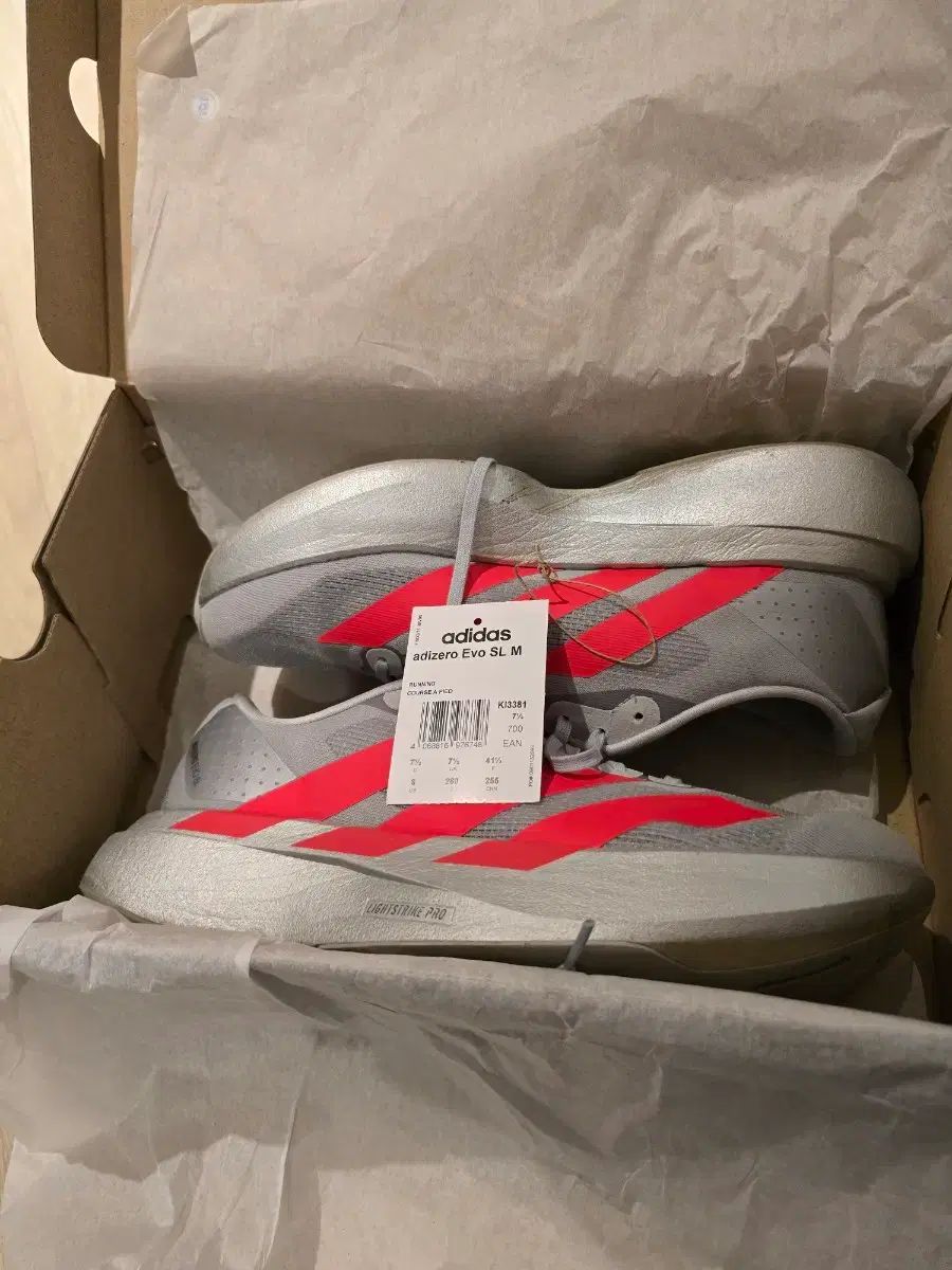 アディダス evo sl 260 mm