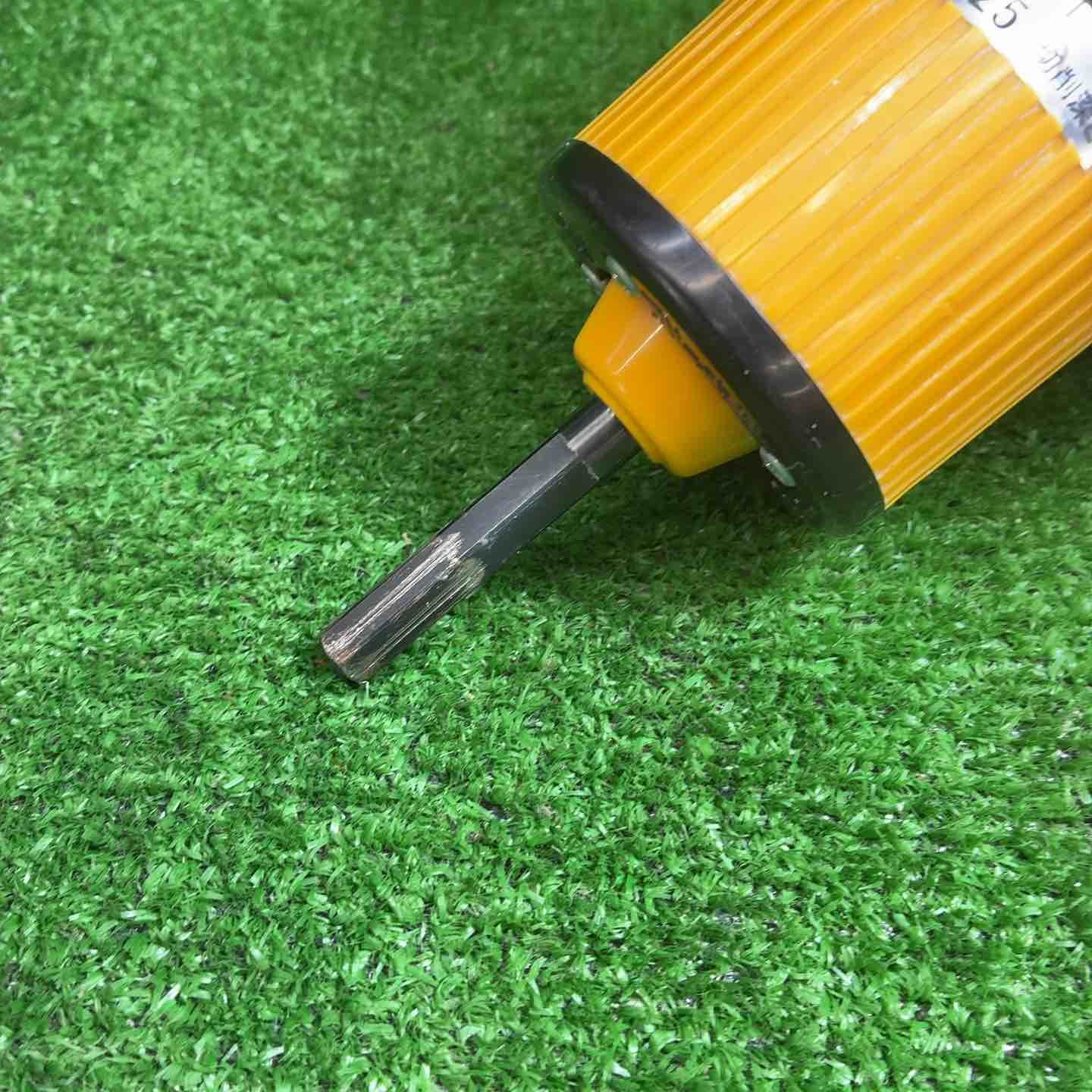 フリーホルソー