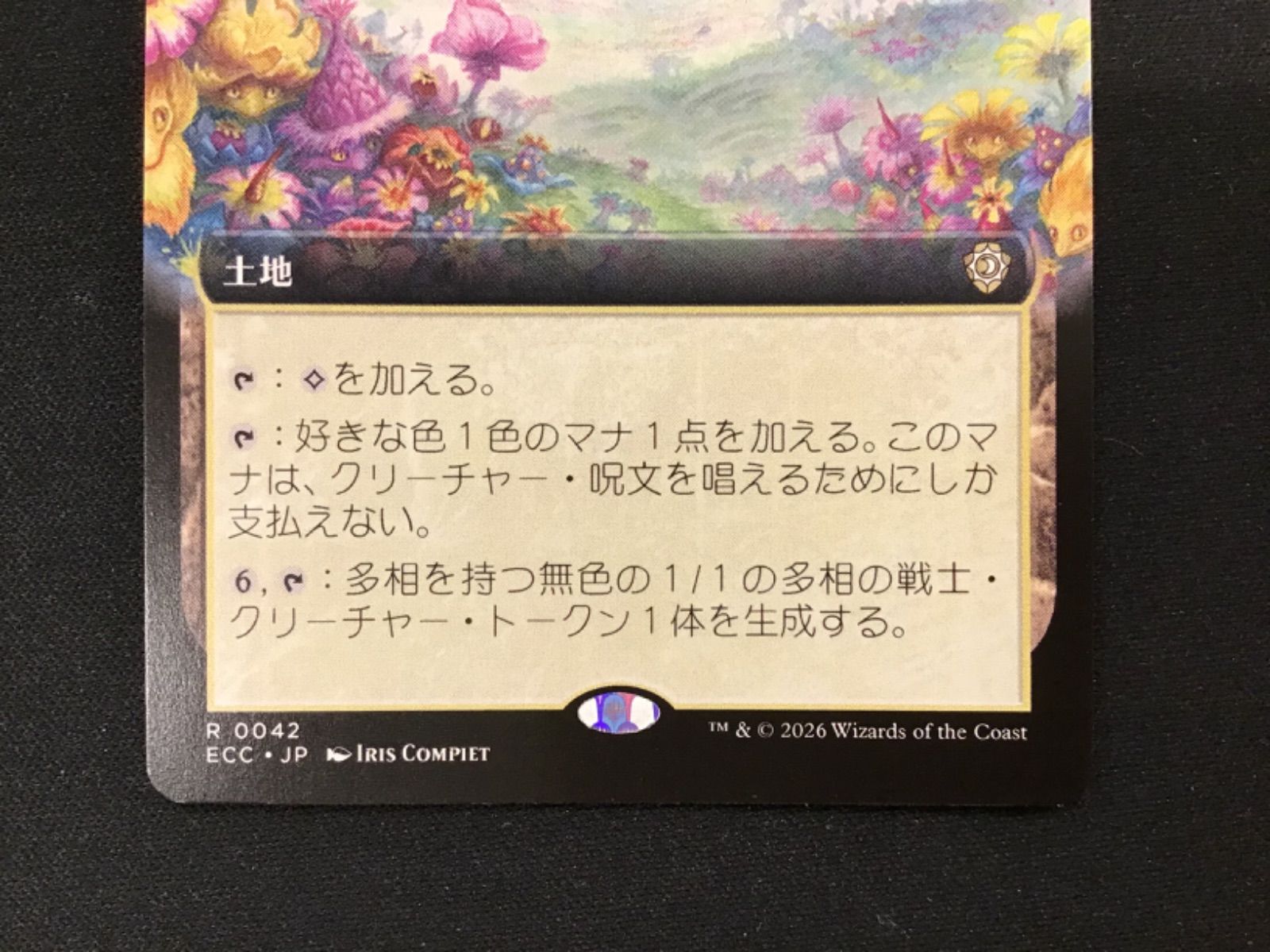 MTG】豊かな在郷 1 豊かな在郷 MTG - [ECC-土地R] 英語版