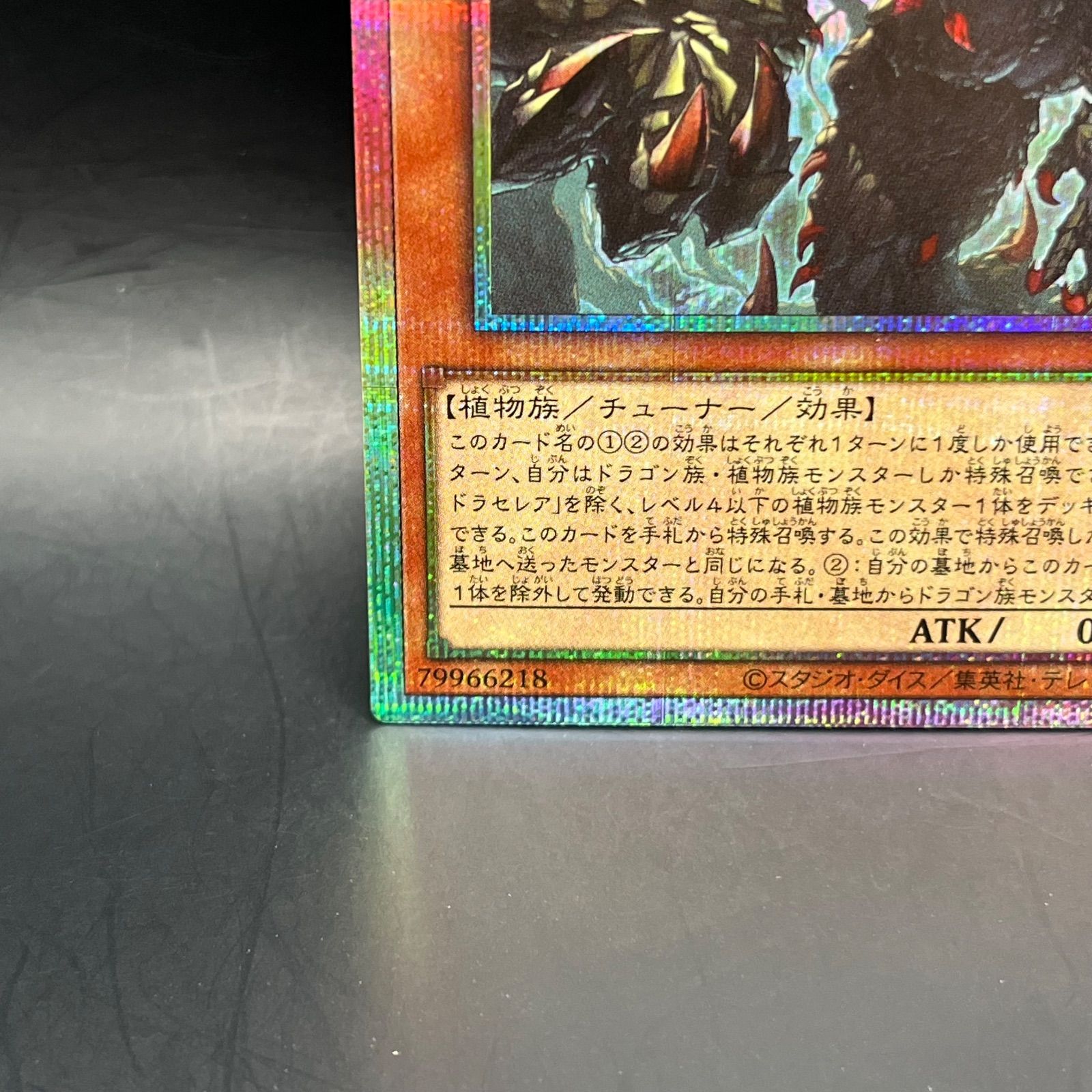 遊戯王 血樹竜姫ドラセレア プリズマティックシークレットレア BLZD