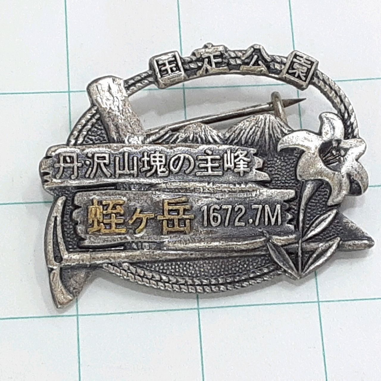 丹沢山塊の主峰 蛭ヶ岳 観光 旅行 登山 記念 山バッジ ピンバッジ PINS