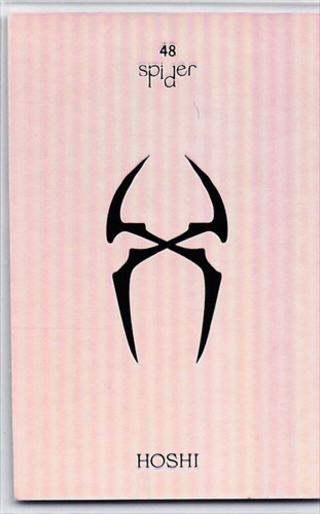 SEVENTEEN HOSHI Spider 48 - メルカリ