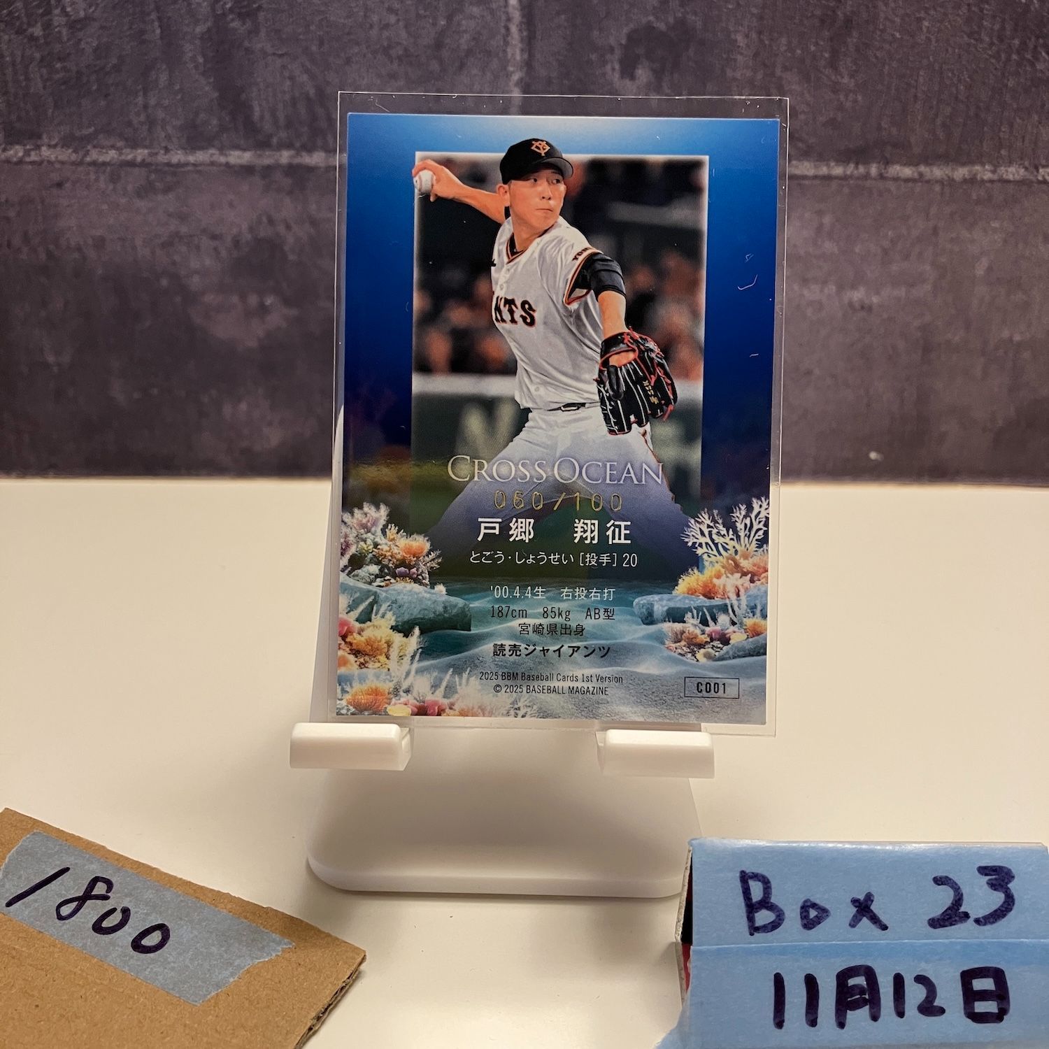 2025 BBM 戸郷翔征 060/100 読売ジャイアンツ Cross Ocean カード