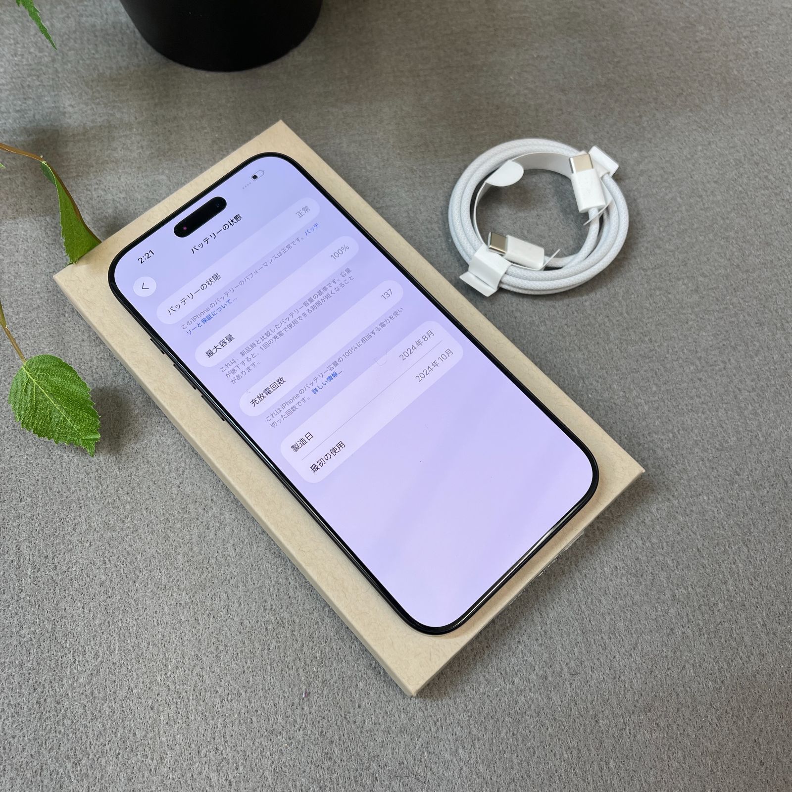 バッテリー 100% iPhone 16ProMax 256GB ブラック 国内版 SIMフリー