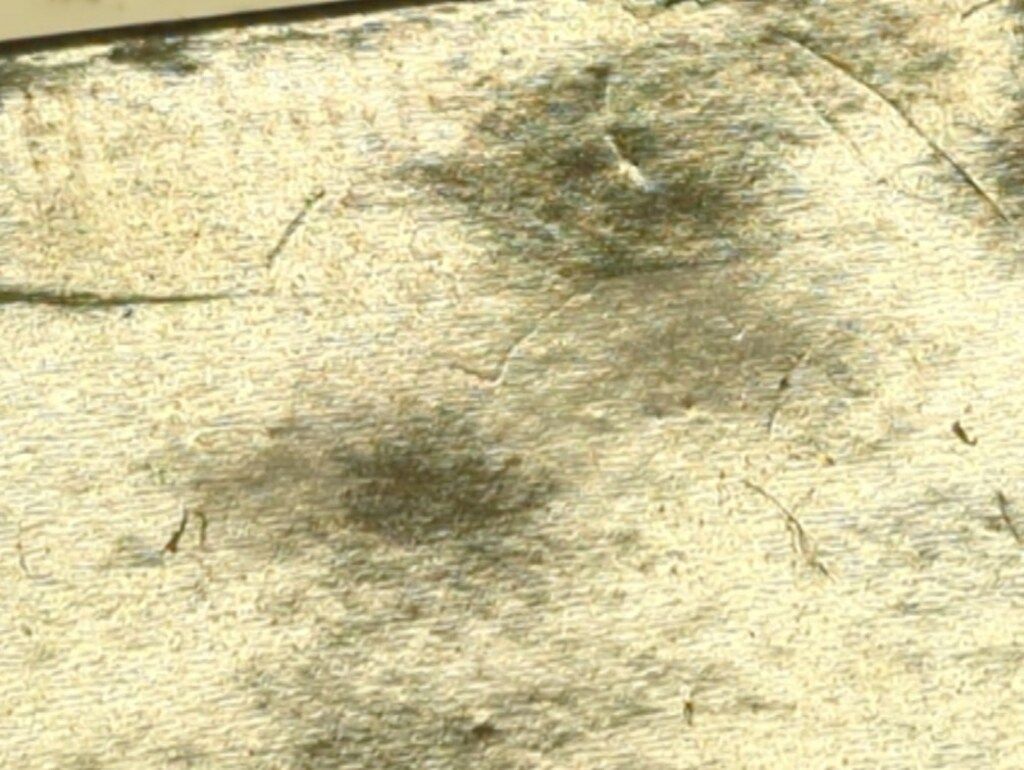 シュラク隊セット CORE