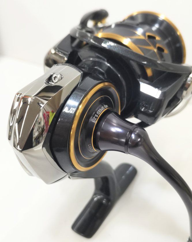 ロックフィッシュ トラウト