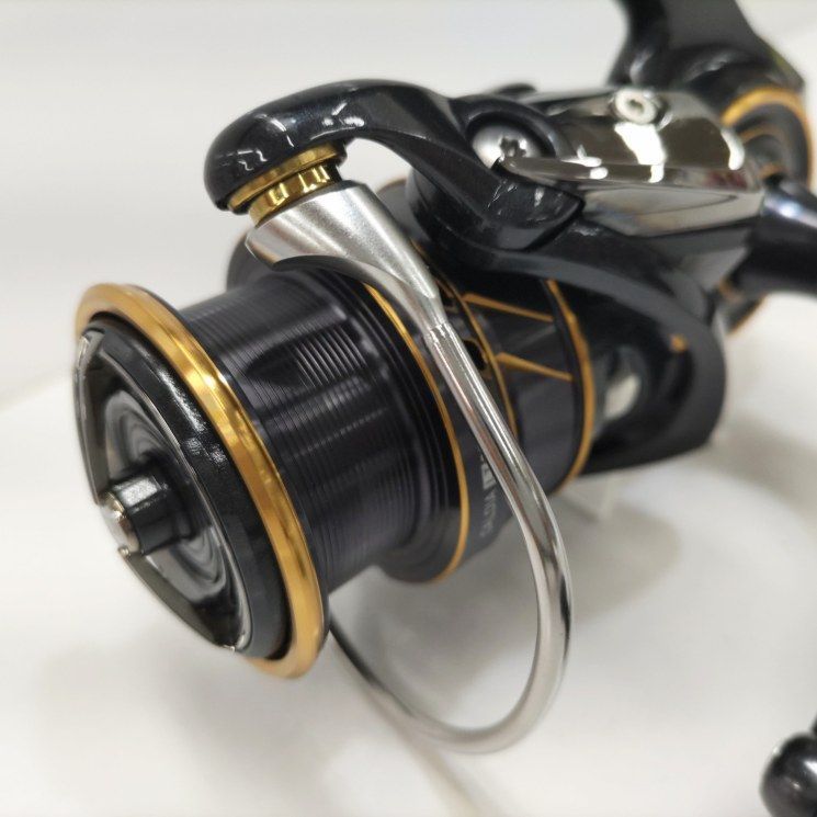 シーバス エギング