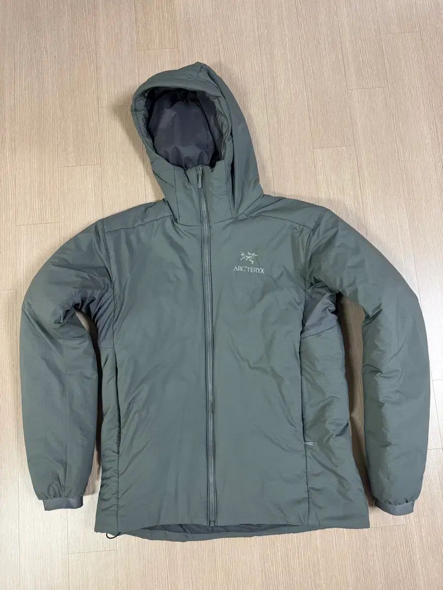 アークテリクス Atom ar フーディー マイクロチップ M