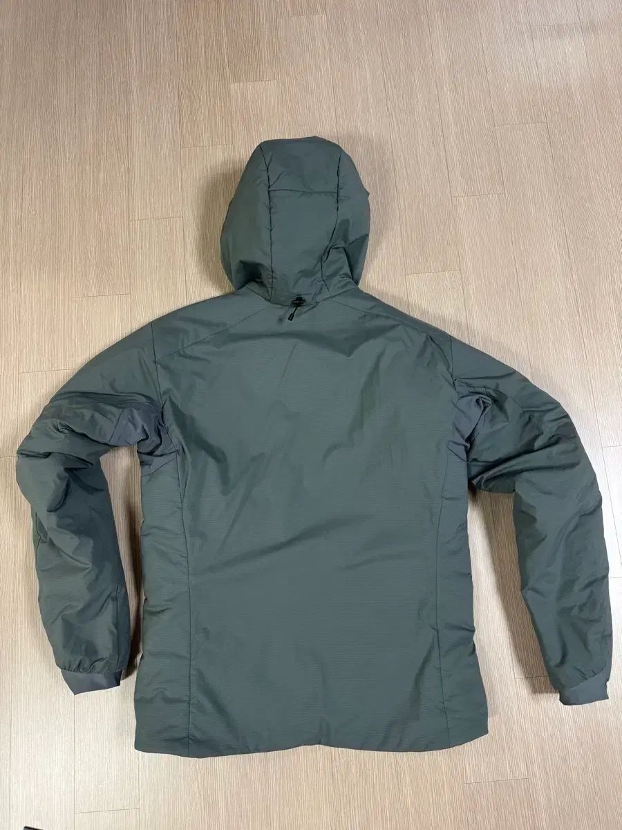 アークテリクス Atom ar フーディー マイクロチップ M