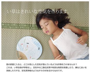 カーペット 純国産 い草 上敷き カーペット 本間4.5畳(286×286cm) 市松織 不知火 熊本県八代産イ草使用