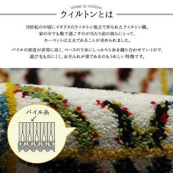 玄関マット 約60×90cm　室内 ウィルトン織り 抗菌防臭 消臭機能 へたりにくい ダンテ 玄関マット 4956642750475