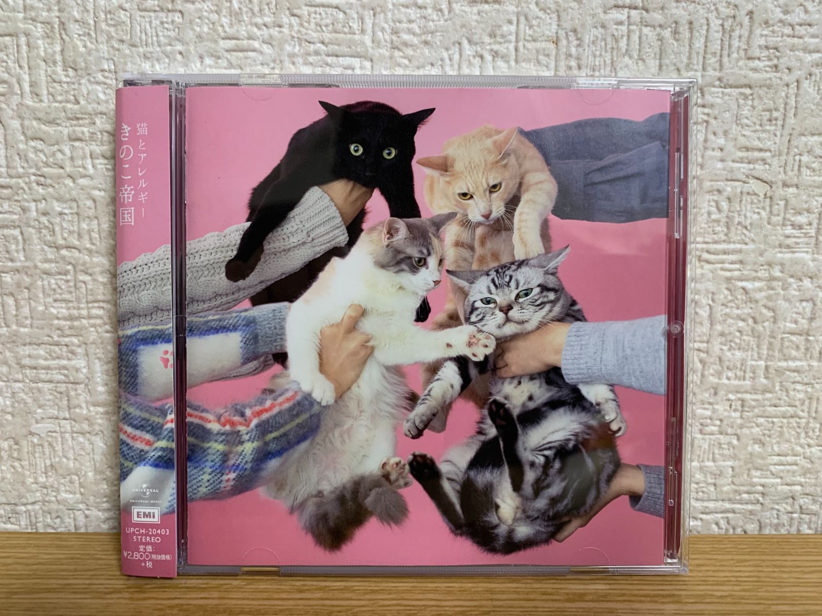 猫とアレルギー きのこ帝国 CD - メルカリ
