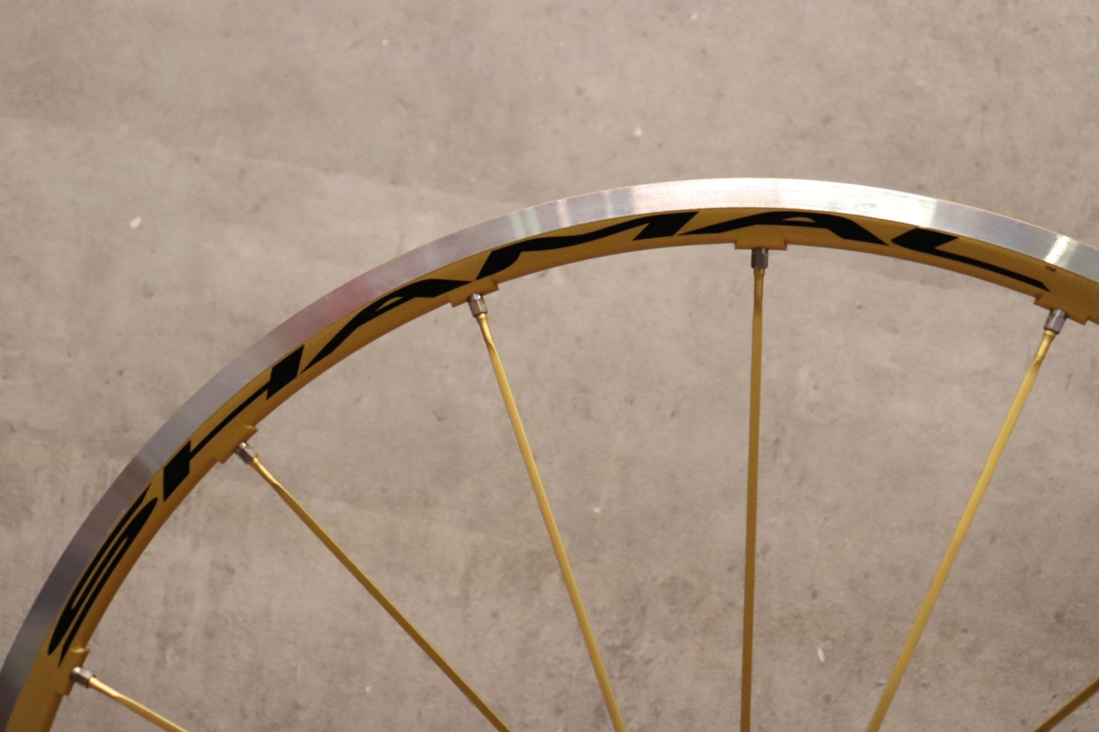 Campagnolo シャマルウルトラ ゴールド カンパ チューブラー カンパニョーロ CAMPAGNOLO シャマルウルトラ SHAMAL ULTRA GOLD