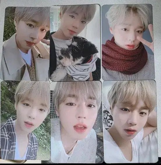 パクジフン　トレカ K-POP TREASURE パクジフン トレカ 3枚セット - メルカリ