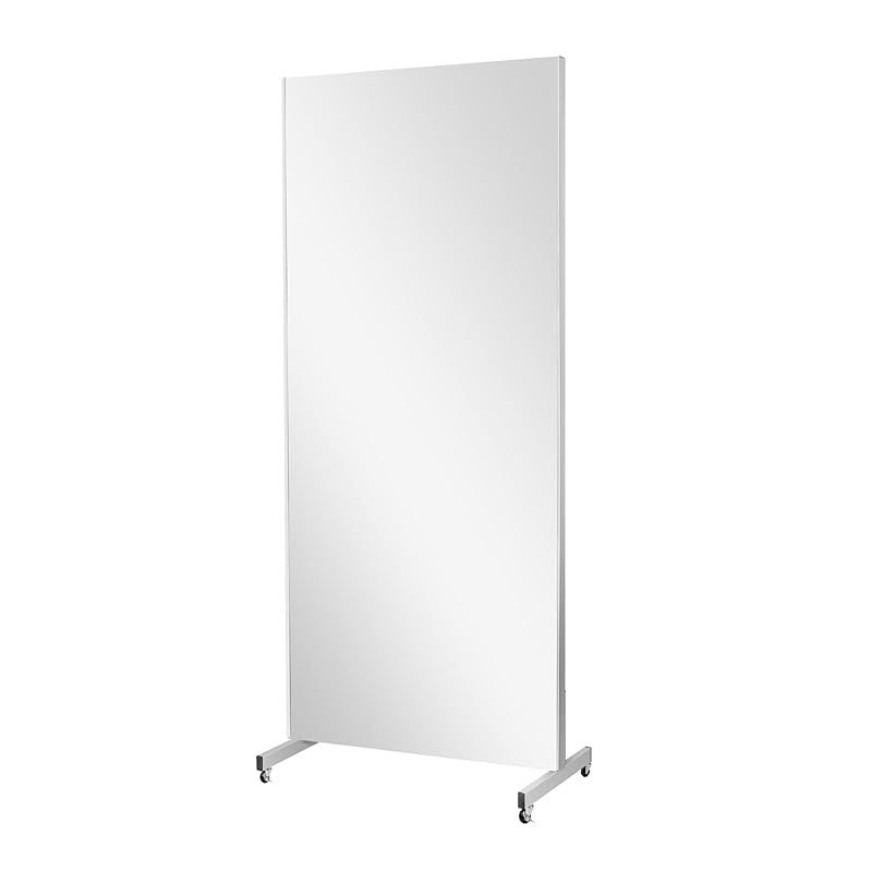 brisafe 割れない鏡 移動式スポーツミラー キャスター付き 長さ160 cm 幅50 壁掛け 全身鏡 地震対策 筋トレ 防災 超大型 バレエ ヨガ ダンス トレーニングミラー 学校 施設 教室 スタジオ シルバー