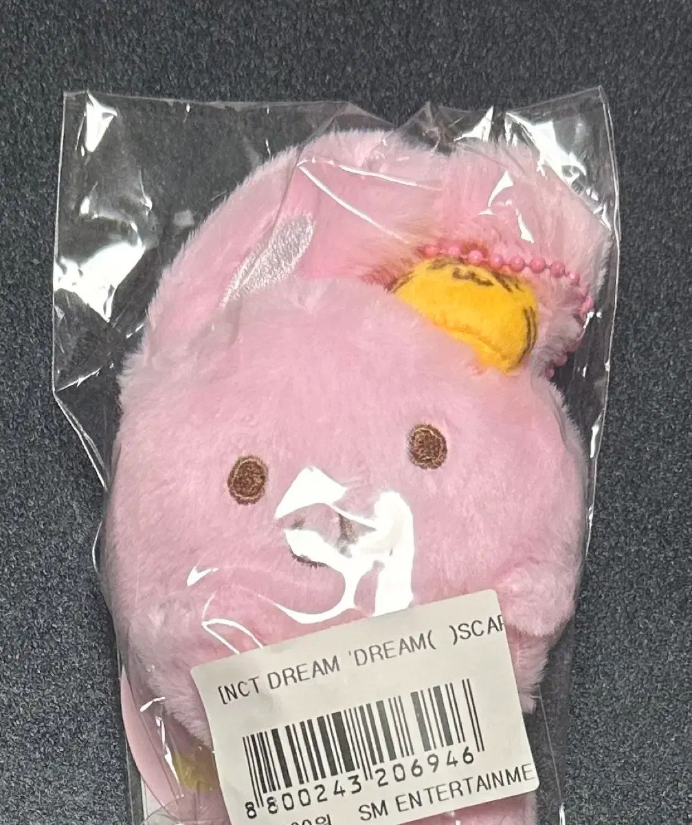 NCT DREAM ジェミン JAEMIN 핑끼