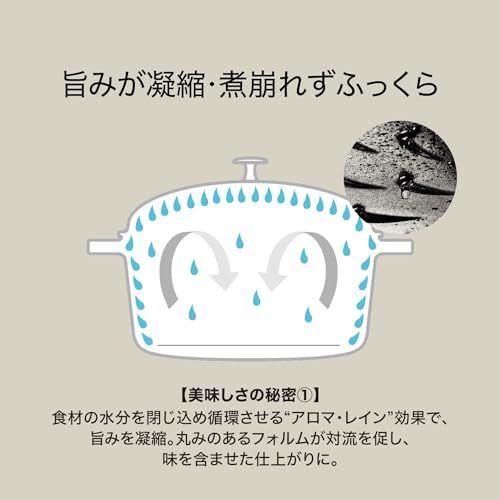  staub ストウブ ワナベ ブラック S 16 cm 両手 鋳物 ホーロー 鍋 炊飯 1合 IH対応 日本 品 Wa-NABE 40501-000 22531 f 79 その他 キッチン 食器