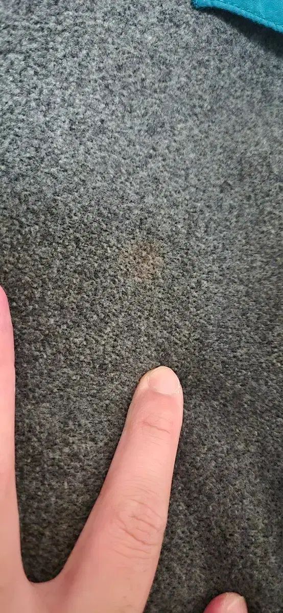  L パタゴニア Synchilla シャイア ラボフ その他 アウター