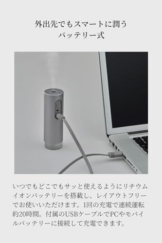 ポータブル