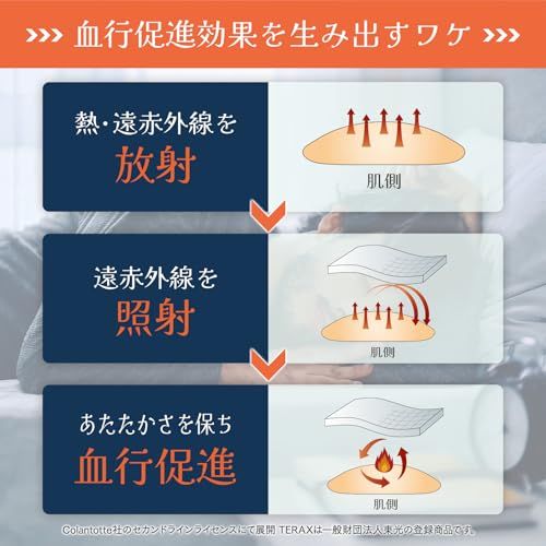 上下セット 背中