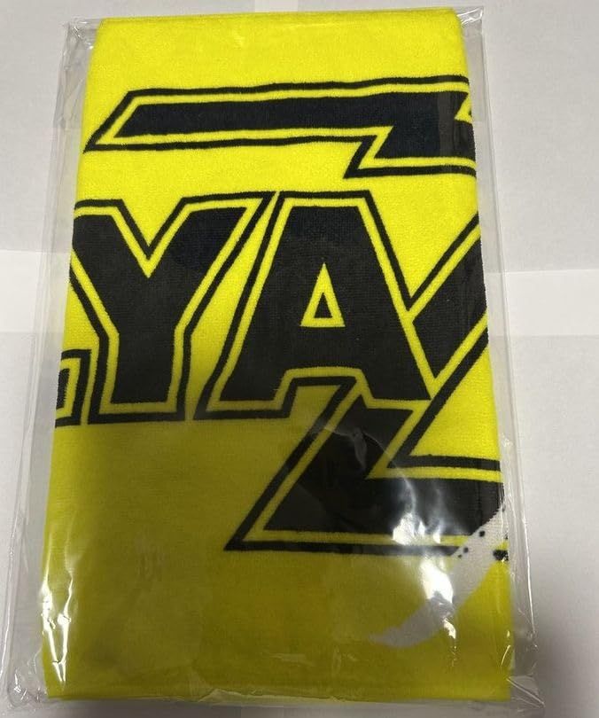 矢沢永吉 EIKICHI YAZAWA 2025 グッズ タオル フェイスタオル ロゴ筆