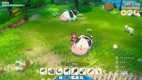 牧場物語 Let s! 風のグランドバザール Nintendo Switch 2 Edition -Switch 彡 63 d 59 57