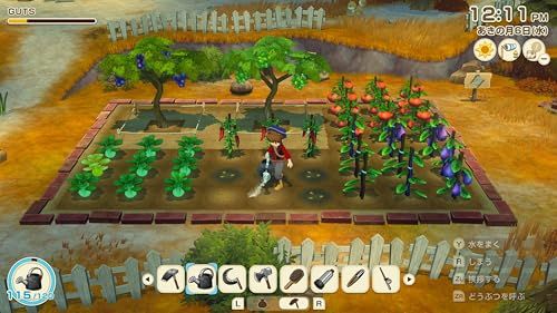  牧場物語 Let s! 風のグランドバザール Nintendo Switch 2 Edition -Switch 彡 63 d 59 57 その他 キッチン 食器